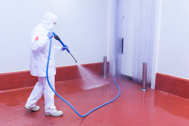 Best Building Exterior Washing  in Waxahachie, TX